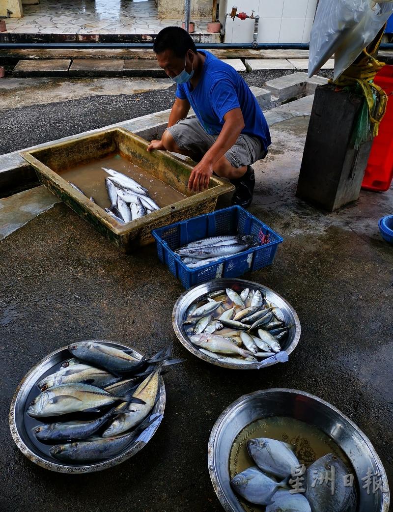 陈先生档口售卖的“便宜鱼”也卖不完，可见经济不景的影响力。