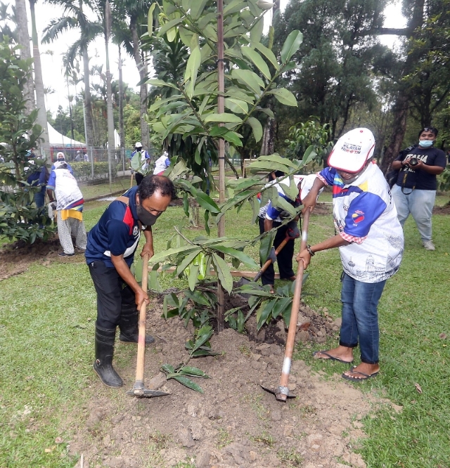 志工们齐心协力在武吉加拉公园范围挖土种植1000棵树苗，以提升公园的空气质量。