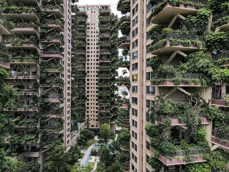 共有8栋30层楼高的绿色建筑外墙都被花草树木覆盖，看起来就像是一个垂直的森林。（法新社照片）