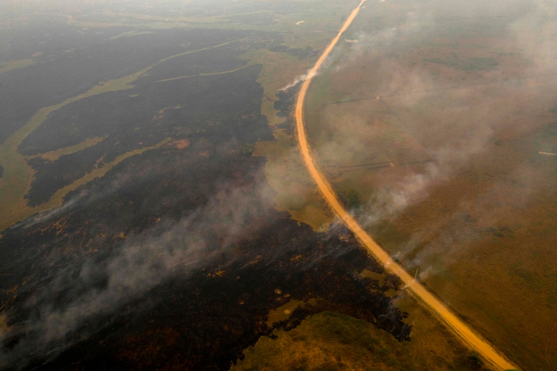 巴西中西部马托格罗索州以生物群系丰富著称的大沼泽因持续月余的森林火灾，令生物群系遭遇严重破坏。专家估计至少12%的生态体系已被毁灭。（图：法新社）