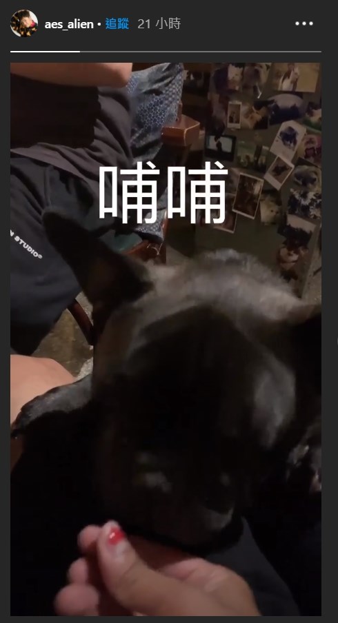 黄鸿升15日下午曾在Instagram限时动态分享黑狗影片，成为他在社群网站上的最後消息。（图取自黄鸿升IG网页www.instagram.com）