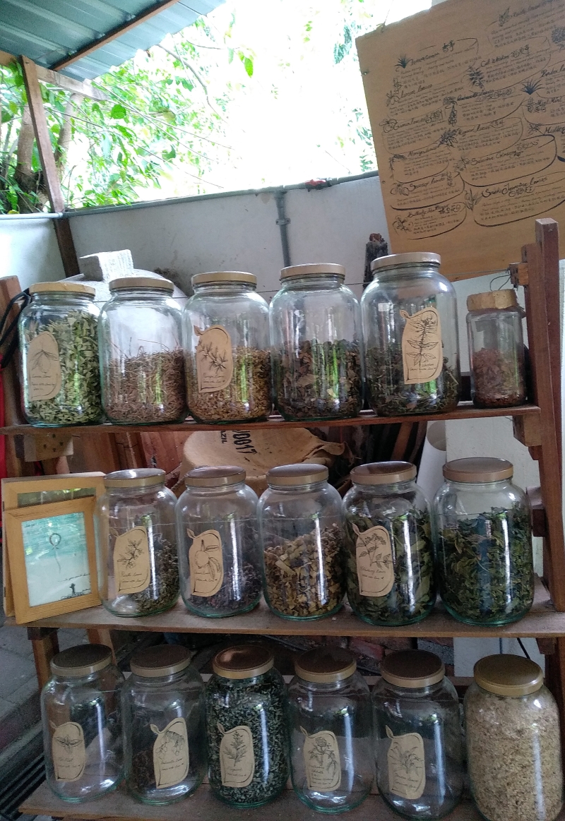 园里采集的本地草茶叶装在玻璃罐子里，右上角是草茶叶介绍，顾客自己看介绍后决定要喝什么茶。