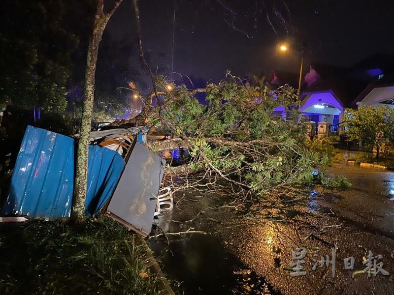 保安亭遭倒下的大树砸中，导致亭内的40余岁巴基斯坦籍保安不幸丧命。