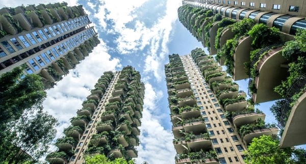The project was meant to provide residents life in a 'vertical forest'. AFP