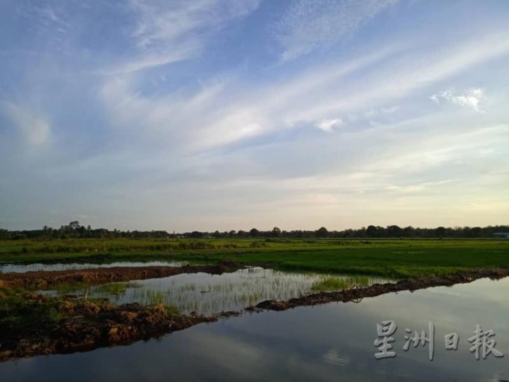 亚依淡有“小适耕庄”雅称，绿油油的稻田，风景宜人。