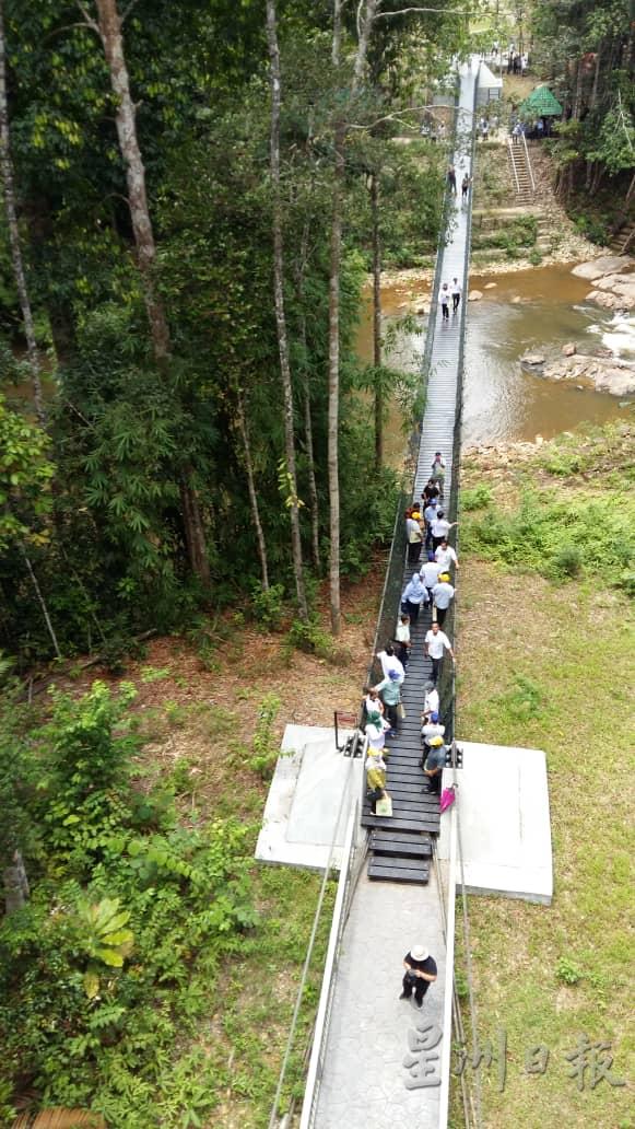 游客将可行走公园内的高悬索桥横跨兴楼河，欣赏原始雨林美景。