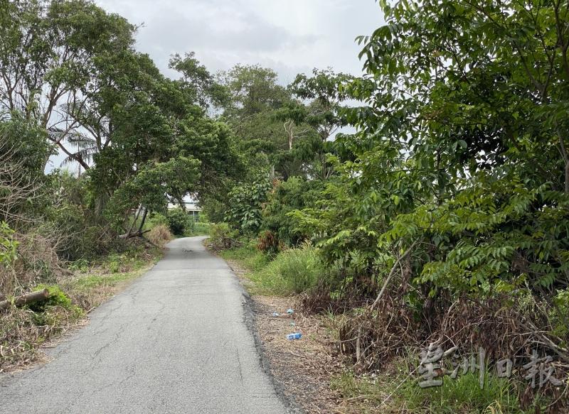 行驶在斯里柏吉路部分路段，两侧都是丛林，犹如森林之道。

