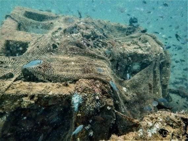 “鬼网”大量地出现在人造珊瑚礁范围，往往会意外导致这些原本需要受到保护的海洋生物被网缠上，因无法自行挣脱而死亡。(图片取自ChasingKarang脸书分享 )