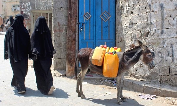 As queues at petrol stations stretch longer and demand for donkeys rises, the price of the animal is also going up. AFP