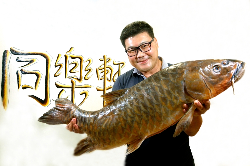 叶锦星一手抱起一条重量达11.5公斤的野生河鱼忘不了，大方分享他对野生河鱼的研究及心得。