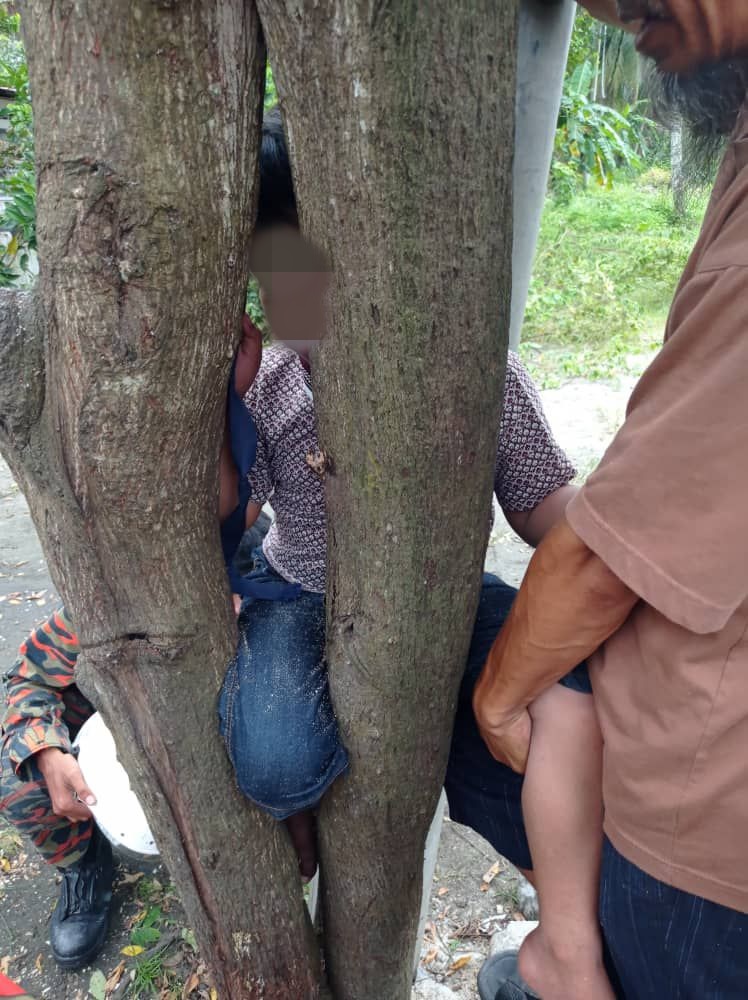 孩童右脚也夹在树缝隙之中，消拯员与公众合力协助脱困。