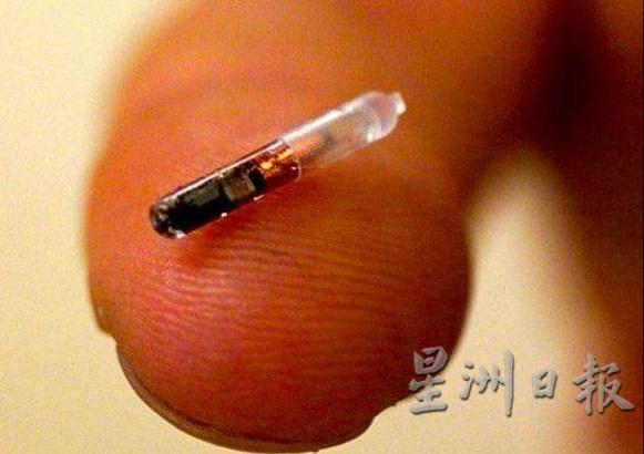 注入的晶片只有指尖般大小。