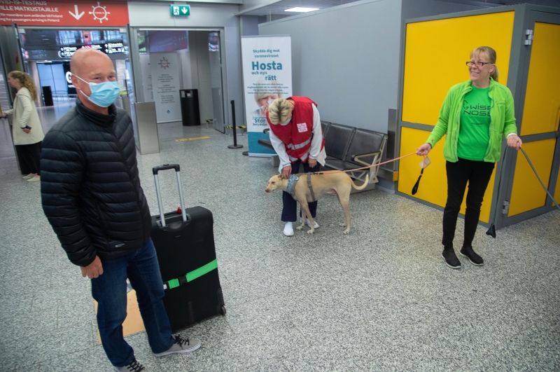 嗅探犬在赫尔辛基万塔国际机场进行为期4个月的试验。如果证实准确有效，该机场将常态化部署嗅探犬探测冠病。（欧新社照片）