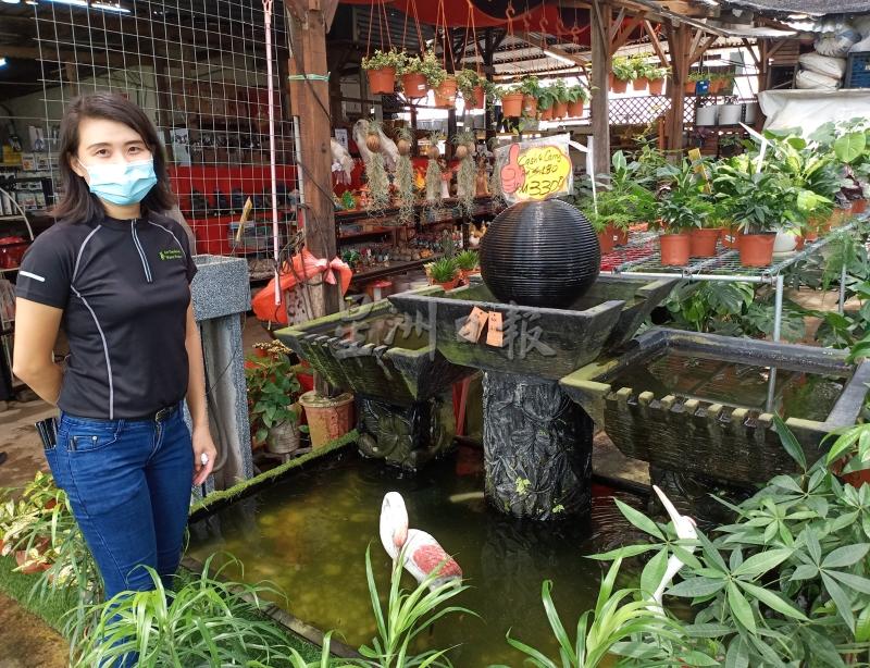 陈俐妃指出，售价四位数的大型流水池，可获约20%折扣。