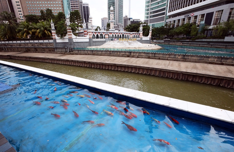 位于占美清真寺旁的“蓝池”水质适宜饲养鲤鱼，在城中与人们共存。