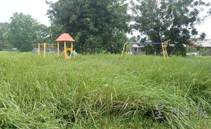 新板景观花园游乐场杂草丛生，虽然拥有儿童游乐器材，儿童也不敢进入草丛中玩乐。