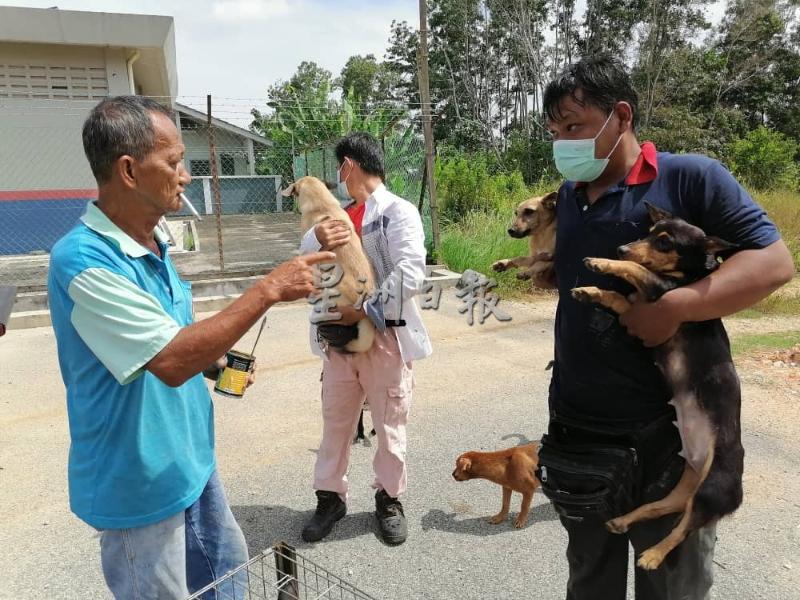 陈亚礼(右)及友人杜先生(中)合力把狗儿从矮丛林处抱出来，交予爱护动物志工带走。