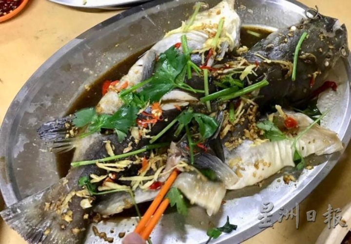 醋蒸鱼是友合餐室东主独创的一道菜式，风味自成一格，是不少食客的最爱，成了招牌菜。