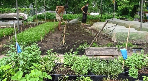 Farming gardens have been created in unusual places, including a former prison. AFP