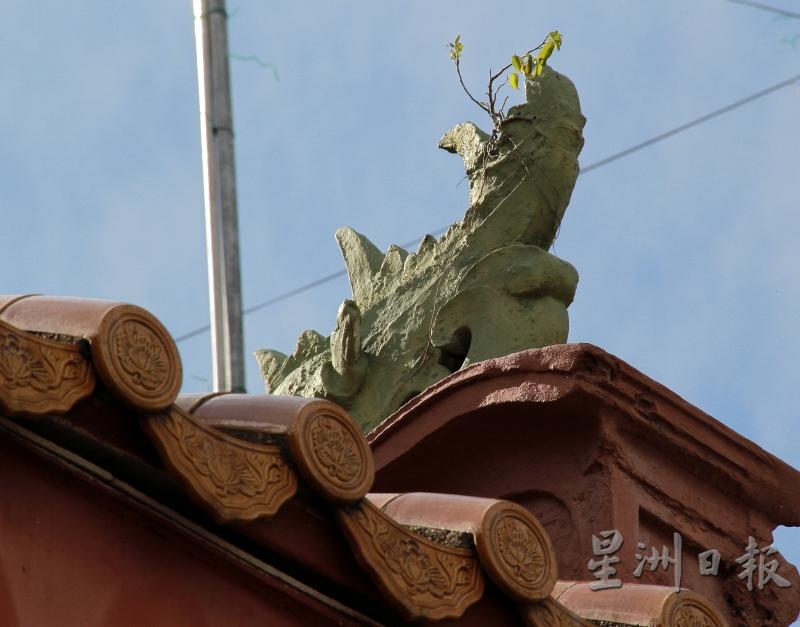 屋顶上的龙象，同样有百年历史。