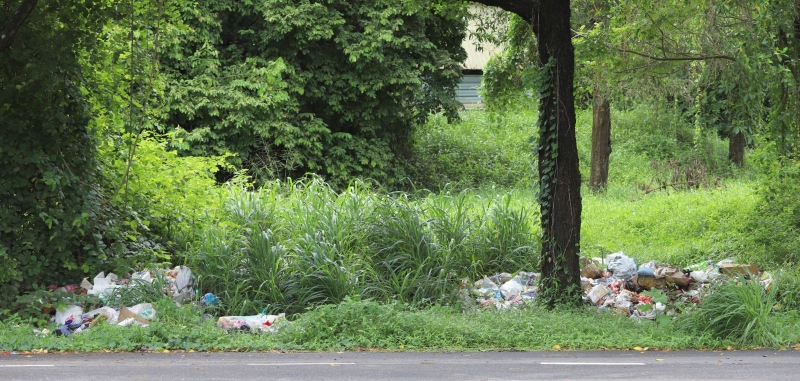武吉南眉工业区草堆成为非法垃圾囤积地，滋生卫生及蚊虫问题。