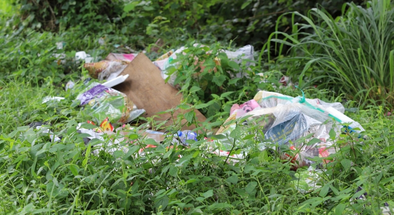 缺乏公德心者把垃圾丢入草丛里，以杂草掩盖垃圾。