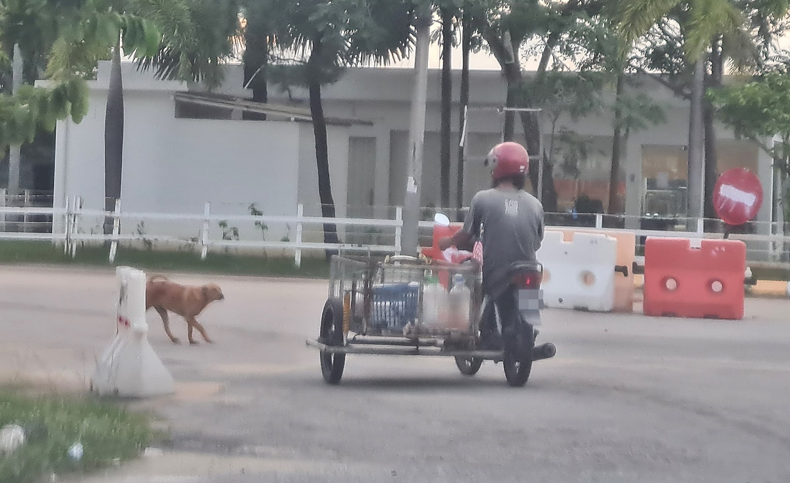 凯鲁骑著他收集回收品的摩托车，到丹江河畔给流浪狗喂食。狗狗看见凯鲁到来，便从不远处摇头摆尾的迎上前。