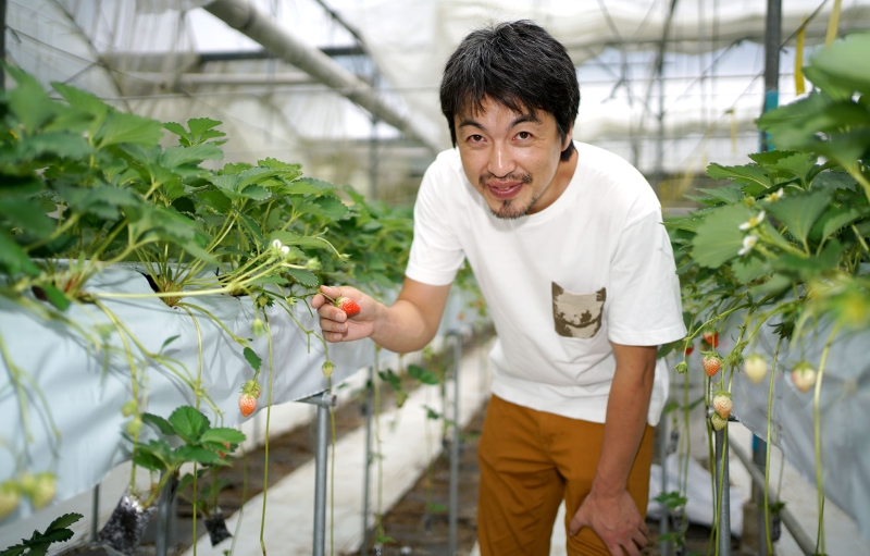 木下恭亮从日本远渡重洋而来，选择在金马仑扎根投入农活，生产高品质农作物，并且希望未来打造农业旅游，开放让旅客体验种植及采摘日本草莓的过程。