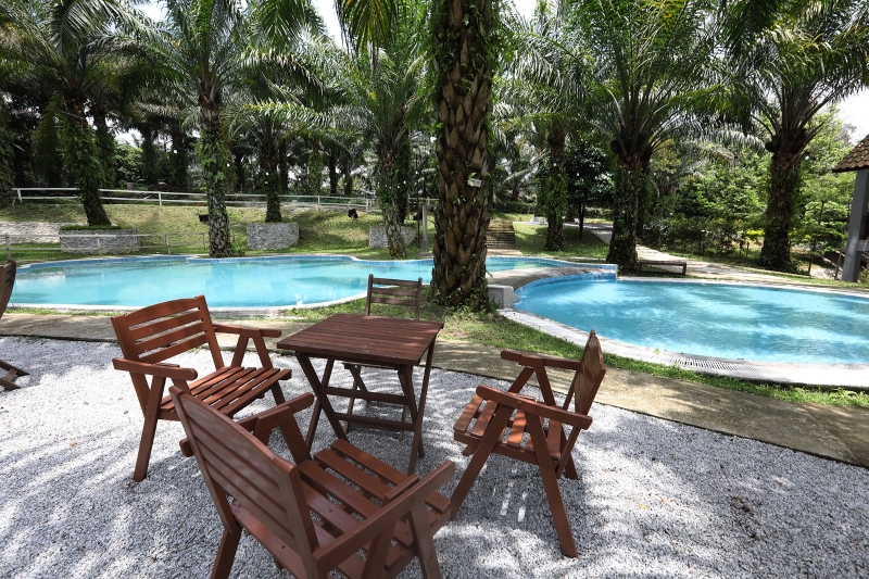 民宿Tasik Kebun Serendah拥有优美的景色,基本设施齐全,且周围还种植多棵棕榈树,让访客享受度假的氛围。