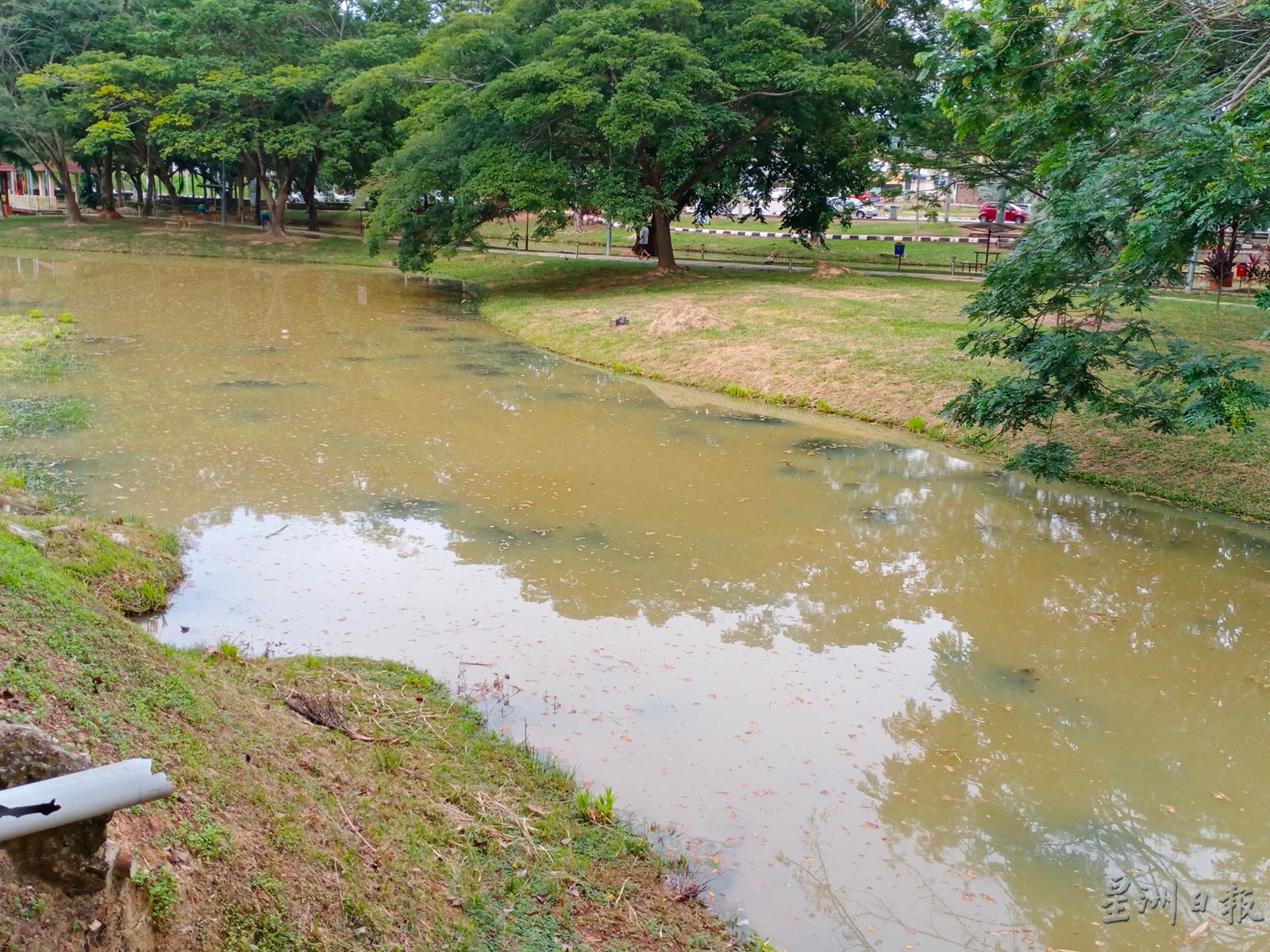 马口湖滨公园的湖水流失，湖底下的水草开始若隐若现。