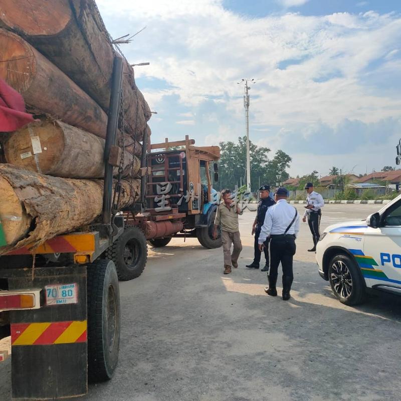 警方在一项树桐罗里行动中，开出罚单予危险超载的司机。