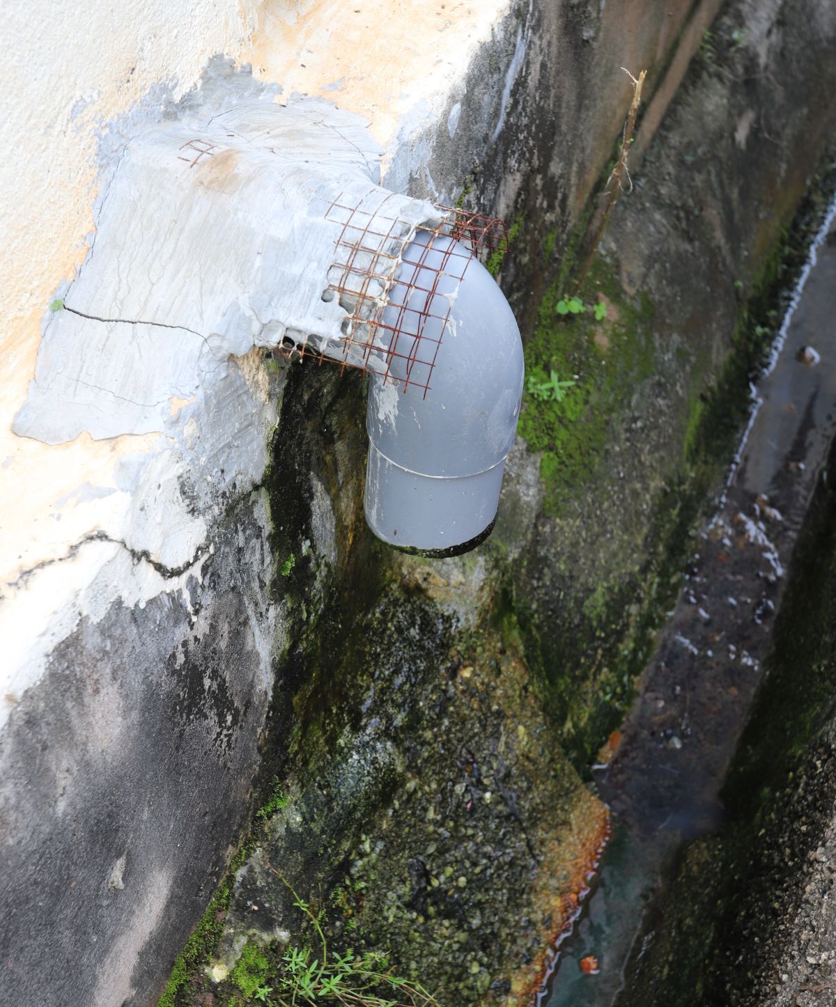 余良带更改水管设计，预防老鼠钻入住家。