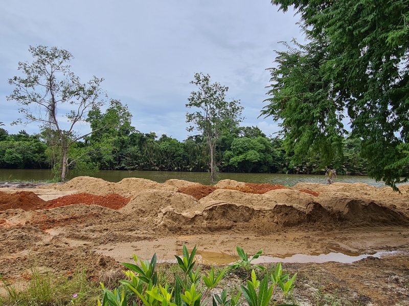 善心人捐献的泥土陆续送到，孟都亚西拉雷佛寺的河岸美化工程即将展开。