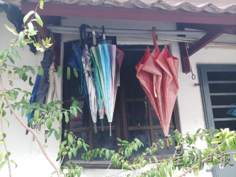 多把已损坏的雨伞吊在窗前，没有丢弃。