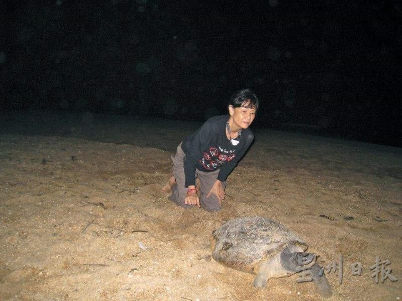 陈定兴退休后创立马来西亚龟类保育协会，在登嘉楼甘马挽推动河龟保育计划。（照片由受访者提供）