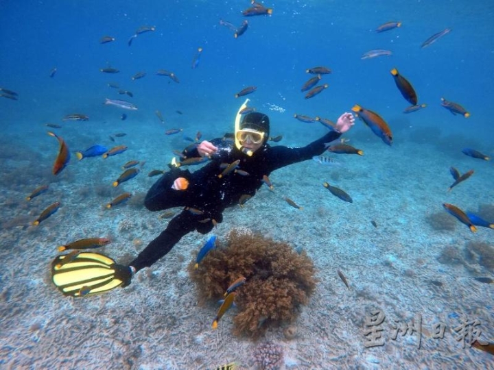 丁巴丁巴岛深潜与鱼共舞。

