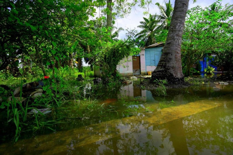 安顺甘榜慕希峇受海潮水灾影响，村子许多地方淹水。