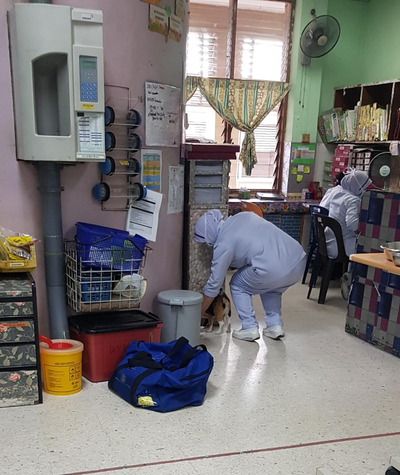 护士在病房一角放置猫粮喂食猫。（照片由病人家属提供）