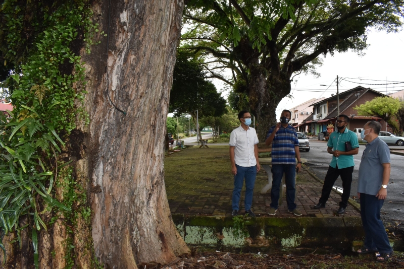 蒋育贤（右起）、礼祖安、莫哈末弗兹永李翰霖商讨修砍大树的方法。