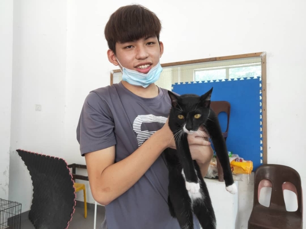 刘瀚阳：校方在疫情期间禁止学生社团举办活动，导致动保协会缺乏照顾猫咪的经费。
