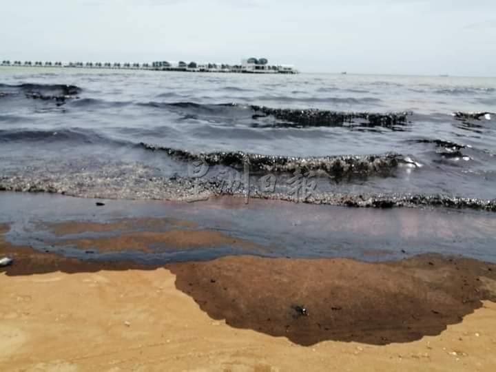 疑有船只排放污油，导致镜子海滩呈一片“黑海”，当地海洋环境受到严重污染（档案照）。
