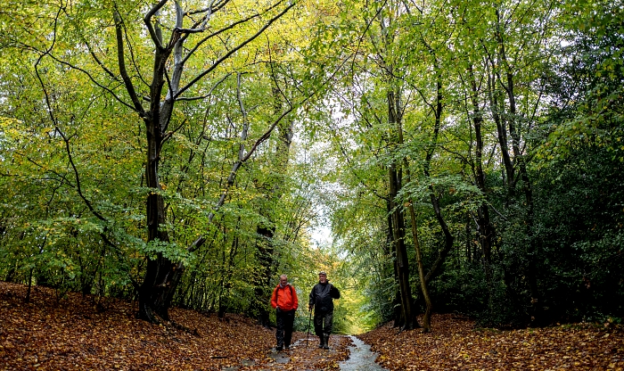 People walking under the trees in Epping Forest in northeast London. AFP