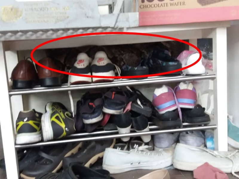 蟒蛇匿藏在鞋架中（红圈显示蟒蛇藏身处）。