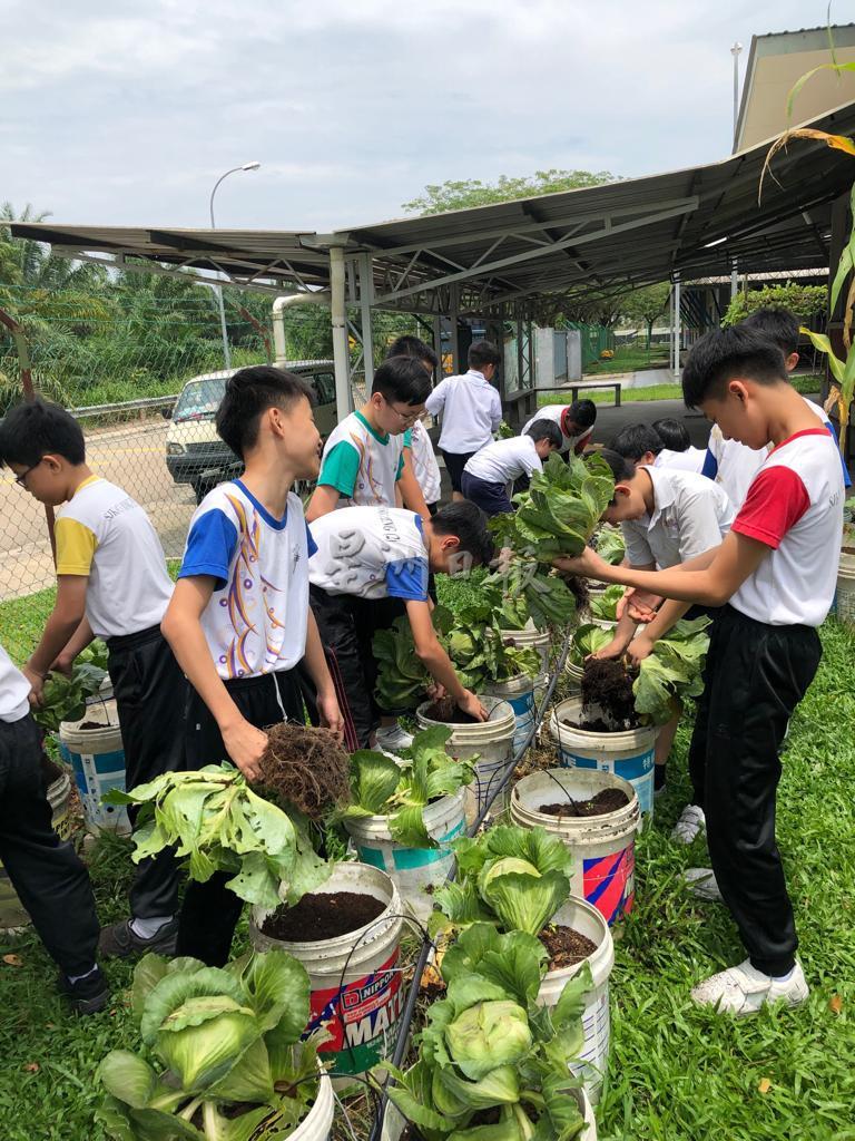 学生们在行管令落实前亲手照料菜园，体验施肥及收成的过程。