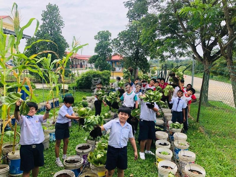永平二校学生在行管令落实前，开心地参观爱心菜园。