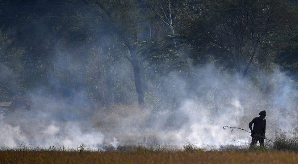 A farmer burning straw stubble on his field in Zirakpur, Punjab, India. AFP A farmer burning straw stubble on his field in Zirakpur, Punjab, India. AFP