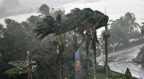 Strong winds batter coconut trees in central Vietnam's Quang Ngai province as Typhoon Molave makes landfall. AFP