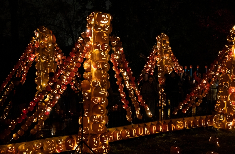 名为“惊悚的南瓜灯”的展览展出由工匠们雕刻的超过7000个南瓜灯。