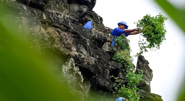 A gardener removing tree saplings from the exterior of Angkor Wat. AFP A gardener removing tree saplings from the exterior of Angkor Wat. AFP