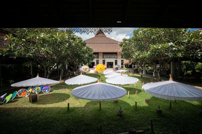 清迈博桑油纸伞制作中心广场，纸伞在草地上晒太阳做日光浴。

